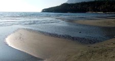 Muğla'da deniz çekildi! Depremle alakası var mı?