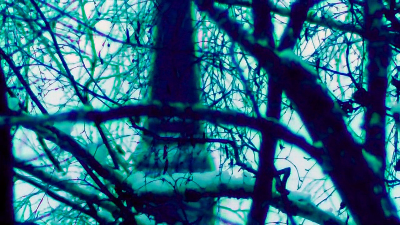 Dec 27 2019 DL7