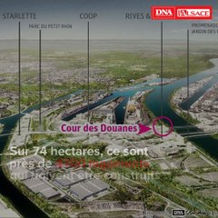 La Cour des Douanes se dévoile au Port du Rhin