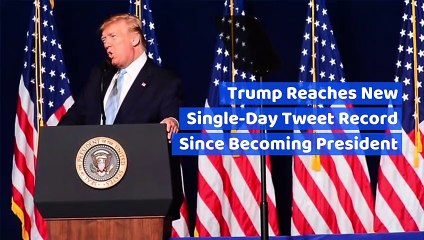 Trump Reaches New Single-Day Tweet Record Since Becoming President