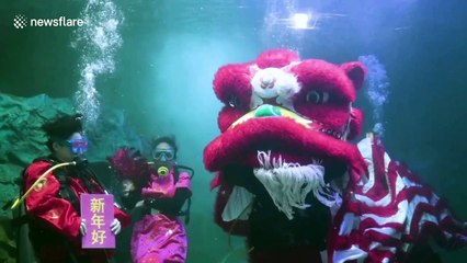 Zoo staff hold underwater aquarium show to mark Chinese New Year