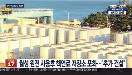 논란의 월성 원전…핵폐기물 저장소·조기폐쇄 갈등