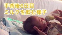 【手術後6日目】赤ちゃんミルクを飲む様子-ノーカット-