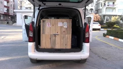 Bakan Pakdemirli'nin sahip çıktığı köpek "Bobo", ameliyattan sonra evine döndü