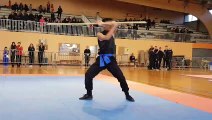 Championnat Grand Est de Wushu, les taolus