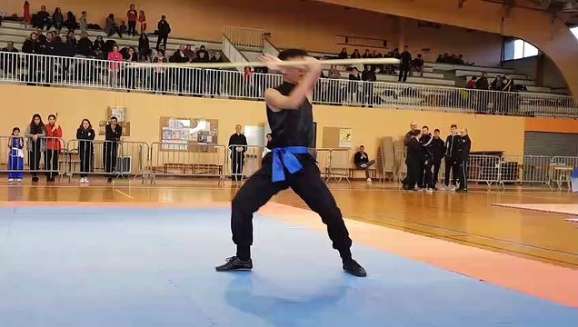 Championnat Grand Est de Wushu, les taolus