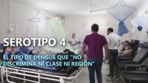 Serotipo 4, el tipo de dengue que 