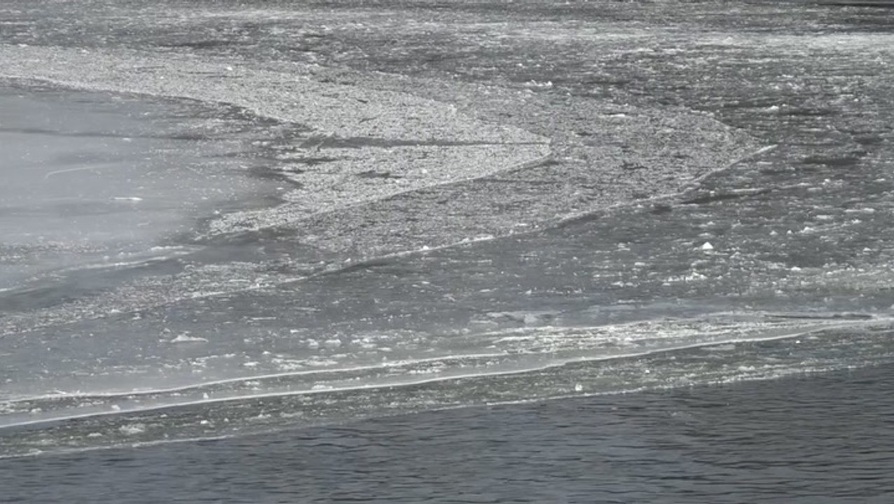 Celebrating another year with an ice disk
