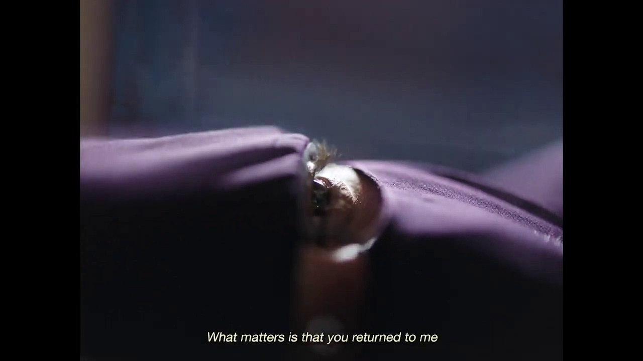 BROTHERHOOD Trailer