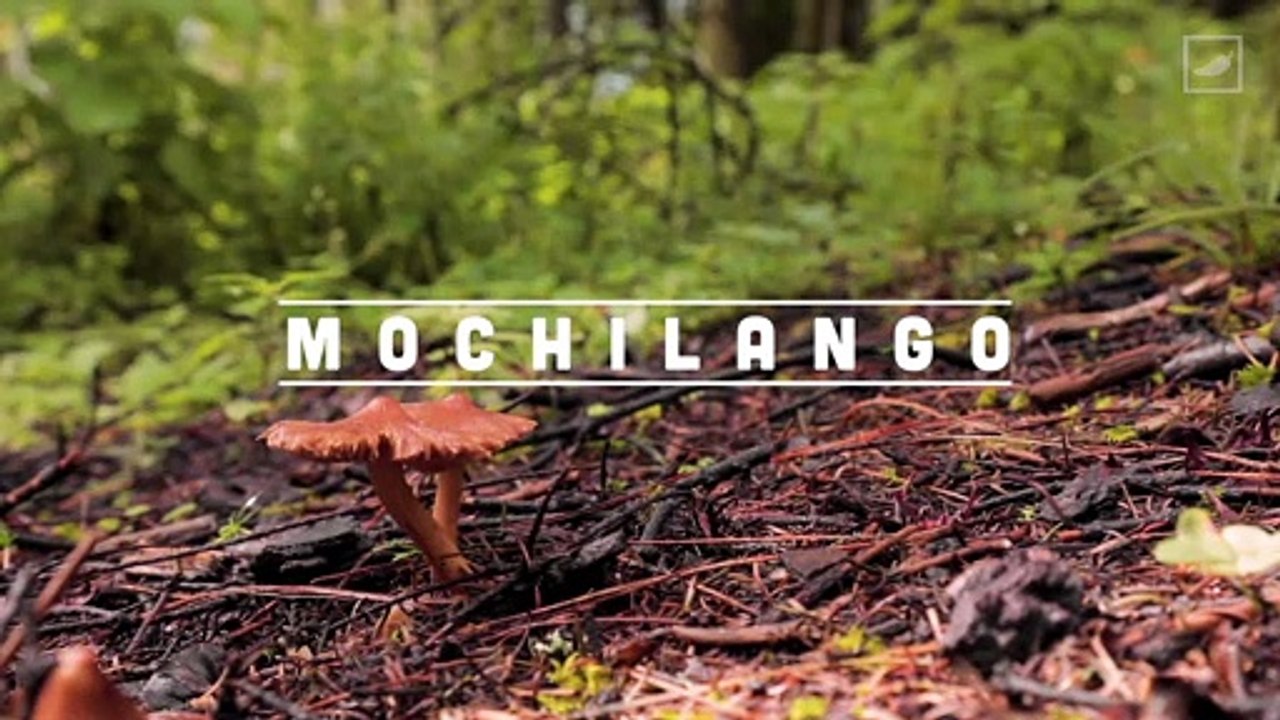 #Mochilango en Toluca