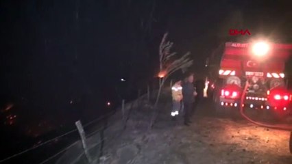 Adana'da iki noktada orman yangını
