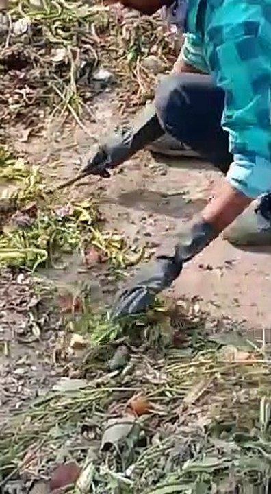 नगर परिषद की जनता से अपील, अलग अलग दे गीला- सूखा कचरा