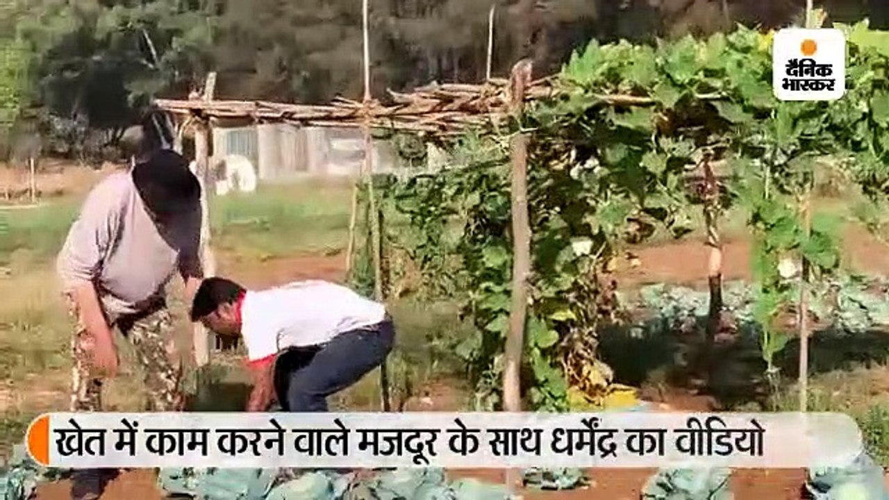 धर्मेंद्र ने बनाया मजदूर के साथ वीडियो, कहा- ये भी हमारा हीरो