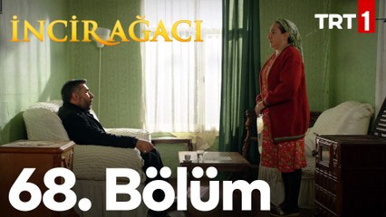 İncir Ağacı 68. Bölüm