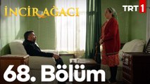 İncir Ağacı 68. Bölüm