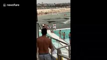 Aussie police dispatch land, sea and air officers to arrest man on Bondi beach