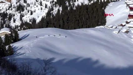 Sivas kaçkarlar'da heliski heyecanı