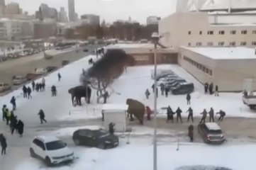Vatandaşlar filleri böyle durdurmaya çalıştı