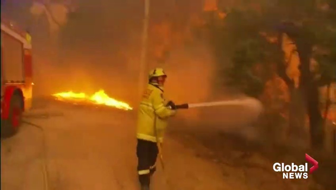 Fire in jungle