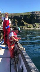 Excited Three-Year-Old Catches a Fish