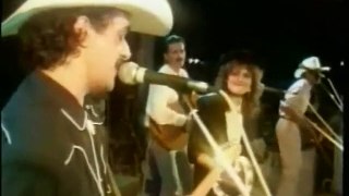 PLAVA TRAVA ZABORAVA - Jackson (1990) Live