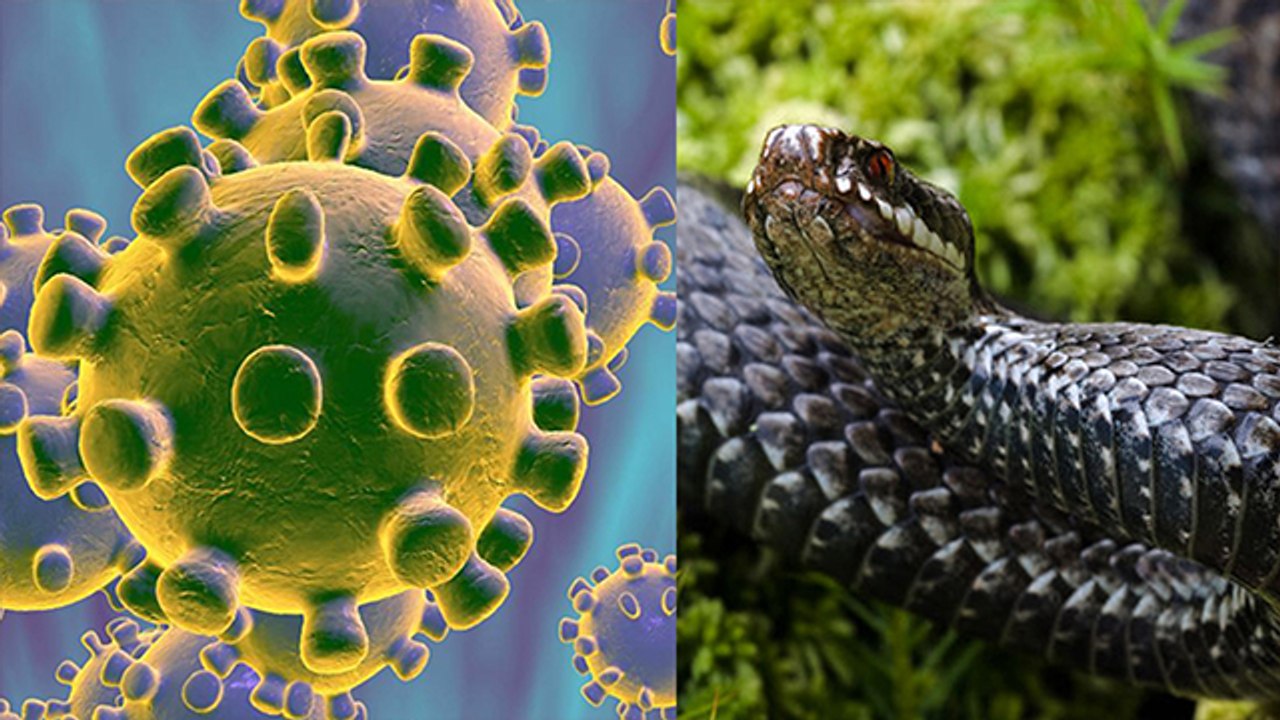 CoronaVirus के लक्षण, जानिए कैसे करें बचाव । Sy...