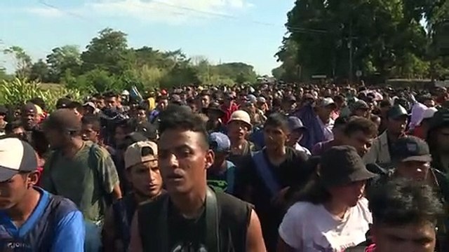 المكسيك تعتقل نحو 800 مهاجر من أميركا الوسطى