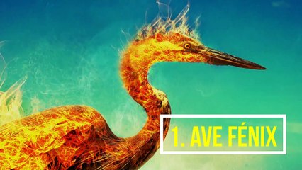 14 animales mitólogicos