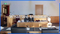 What is a tribunal?