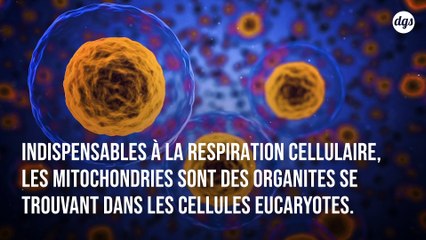 Découverte pour la première fois de mitochondries intactes et fonctionnelles dans notre sang