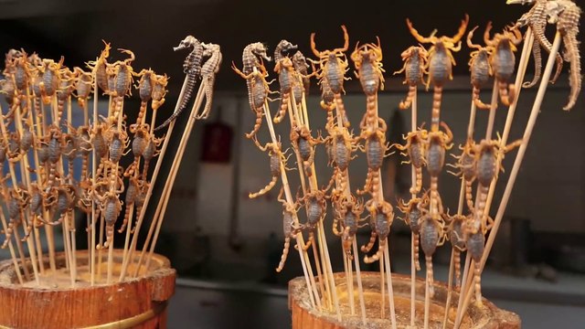 Chinese Street Food - Live Scorpions, Insects, Best street food In China || Foods
