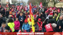 1500 manifestants ce vendredi à Avignon