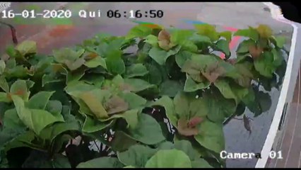 Polícia Civil investiga situação de furto no Florais do Paraná