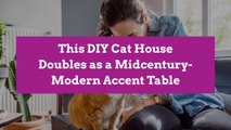 This DIY Cat House Doubles as a Midcentury-Modern Accent Table