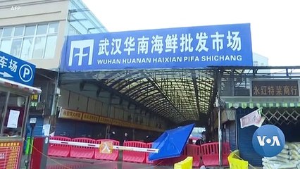 Health Agencies Around The World Try To Curb The Spread of Dreadful Coronavirus