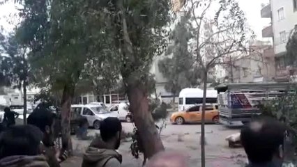 Kuvvetli rüzgar nedeniyle ağaç, otomobilin üzerine devrildi