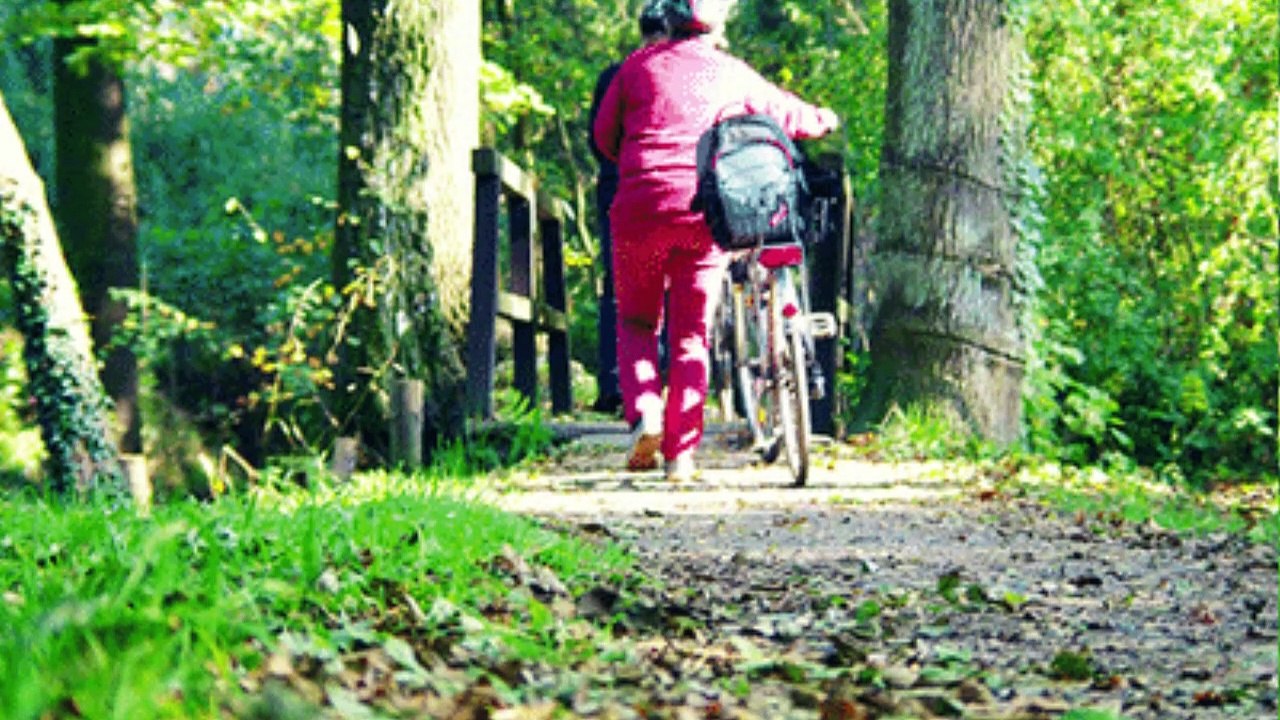 2019-10-24 15_47_04_Fahrad Touren in Deutschland