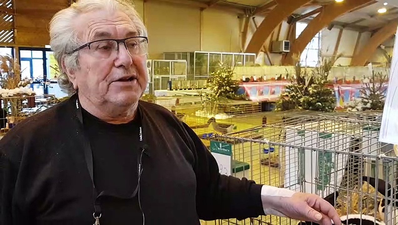 Festival des plumes et des poils à Saint-Avold