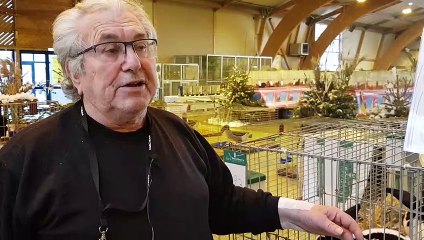 Festival des plumes et des poils à Saint-Avold