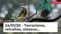 Terrorisme, retraites, oiseaux… Cinq infos bretonnes du 24 janvier