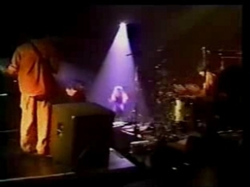 Shakira Octavo Dia Tour Anfibio