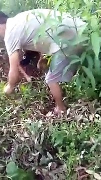 Ils sauvent un chien enterré vivant dans le sol !