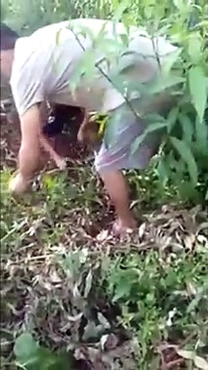 Ils sauvent un chien enterré vivant dans le sol !