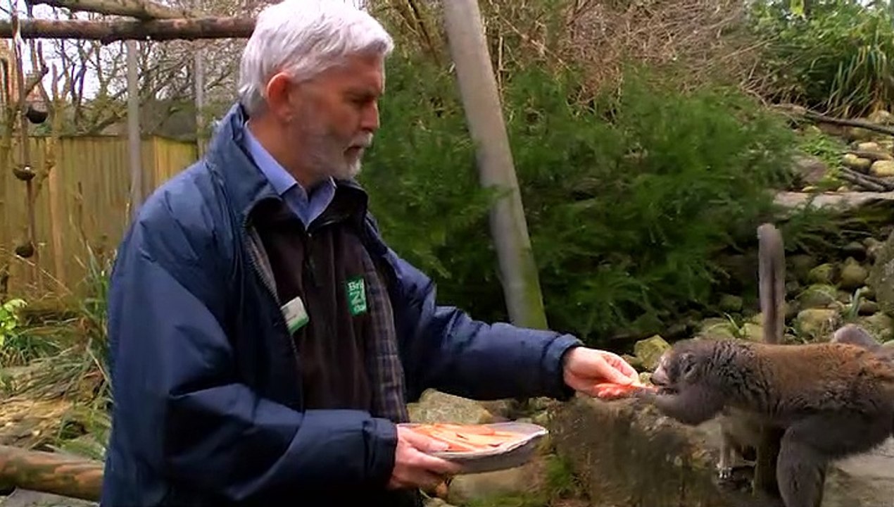 Curator Of Animals At Bristol Zoo Retires After 45 Years!