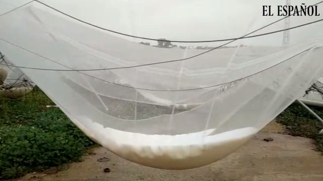 Las consecuencias de la borrasca Gloria en Picasent