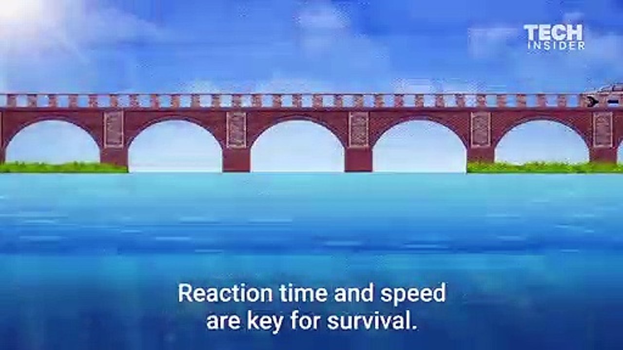 Comment sortir au plus vite d'une voiture qui coule