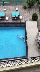 Monkey Antics in the Pool