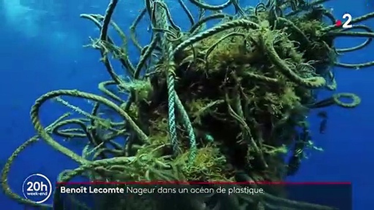 Benoît Lecomte : un nageur au milieu de l'océan...