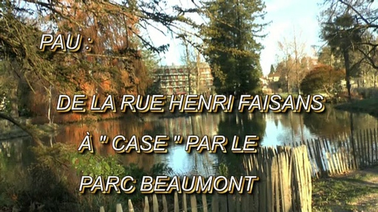 LES PROMENADES DE MICHOU W-D.D - 14 JANVIER 2020 - PAU - DE LA RUE HENRI FAISANS À CASE PAR LE PARC BEAUMONT
