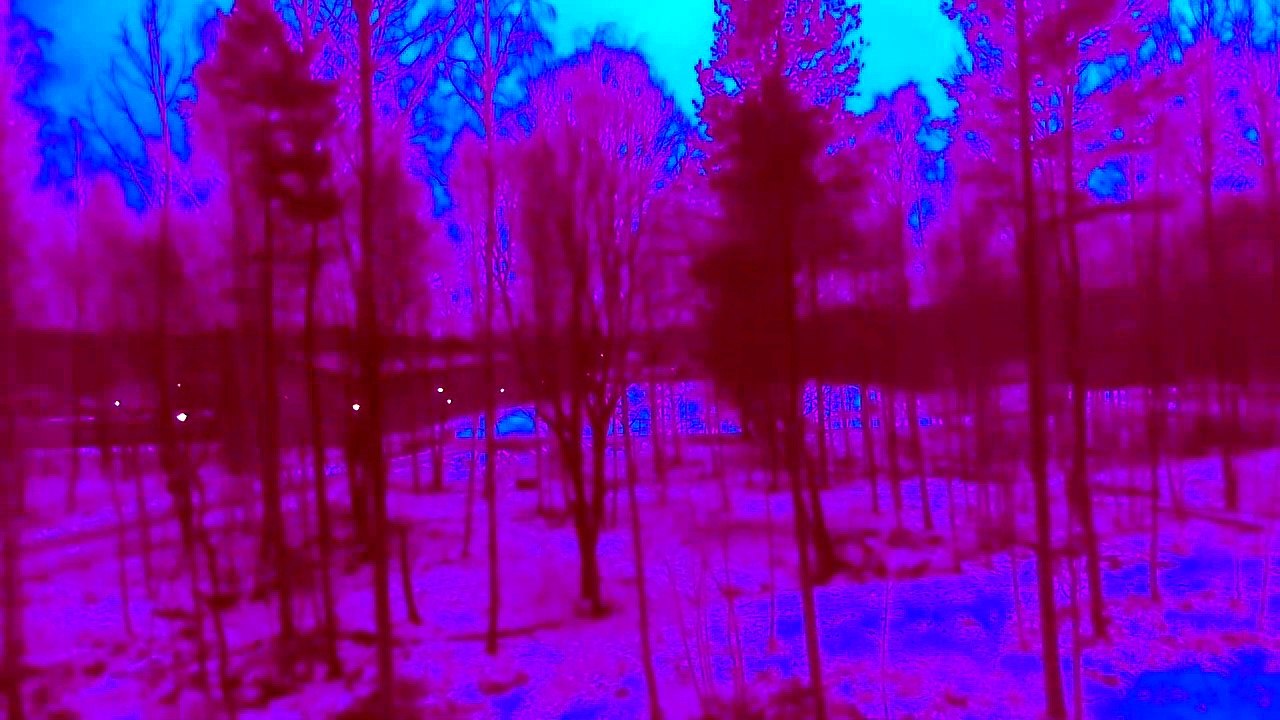 Dec 29 2019 DL3